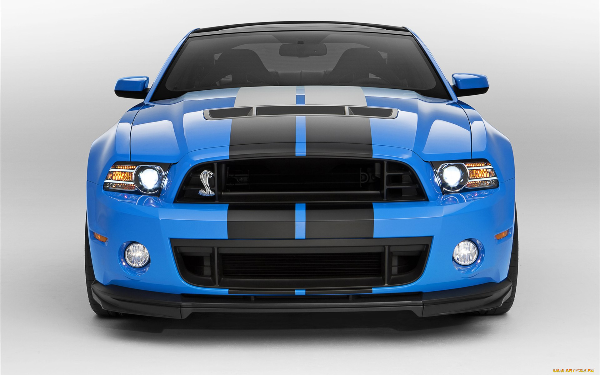 ford, shelby, gt500, 2013, , mustang